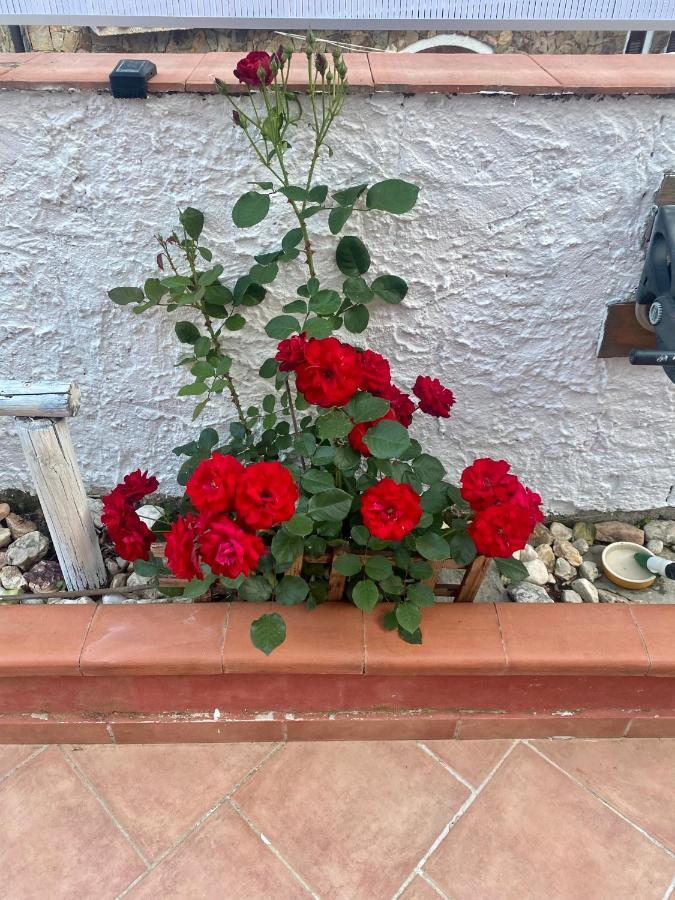 L'Oasi Di Chia Bed & Breakfast Dış mekan fotoğraf